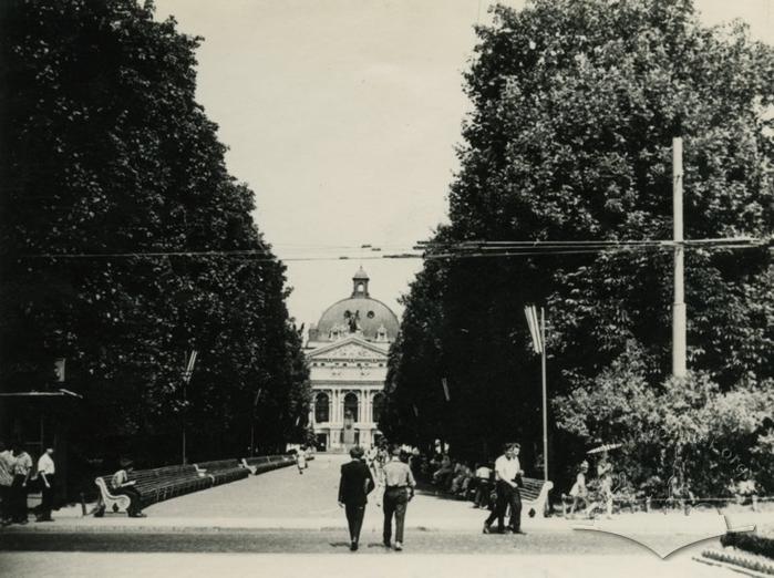 Central stroll alley of 1 Travnia street 2