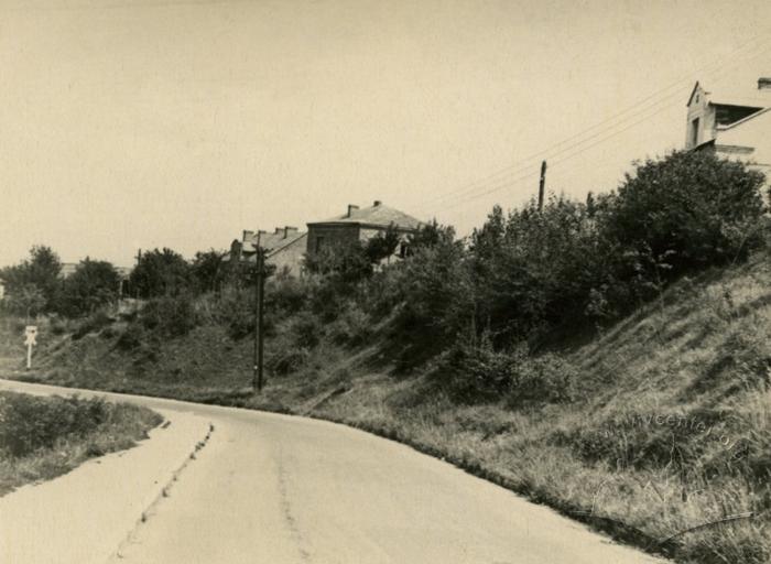 Kryvchytska Doroha street 2