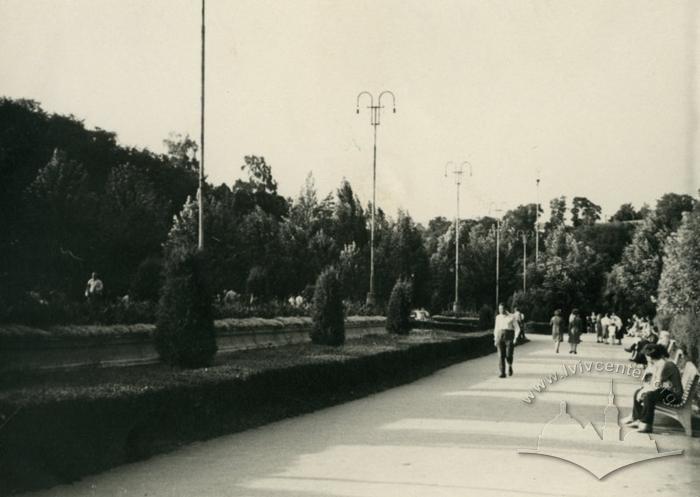 Alley in Stryiskyi park 2