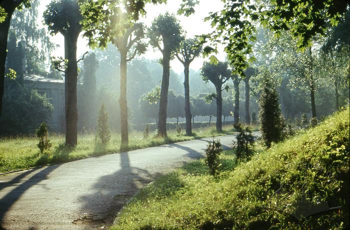 Alley of Park of Culture named after Bohdan Khmelnytskyi 2