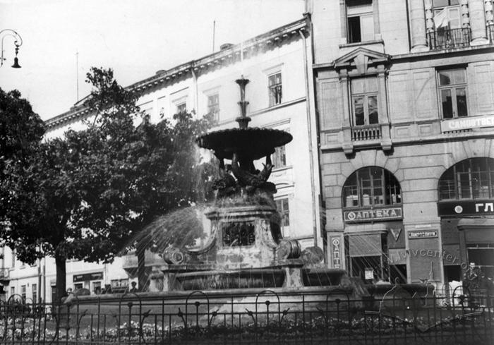 Fountain in Mariiska Square 2
