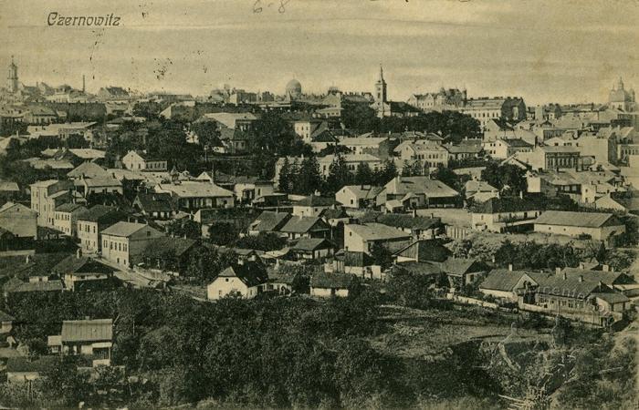 Panoramic View of the City from the Northeast 2