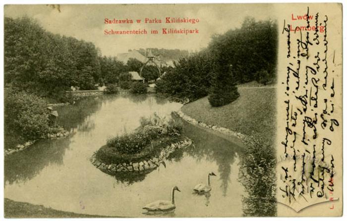 Pond in Stryiskyi park 2