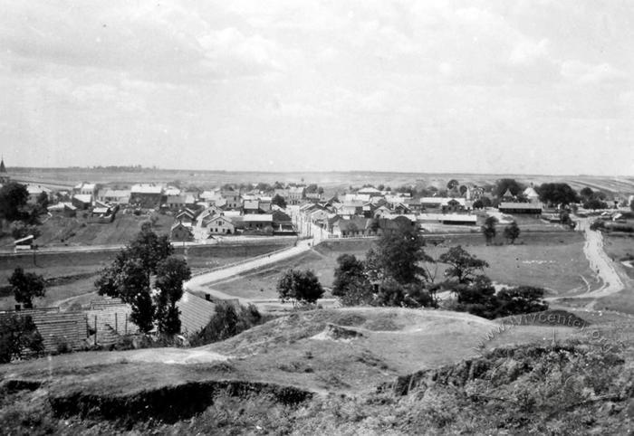 General view of the town of Shchyrets 2