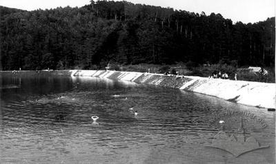 Lake at Vynnyky