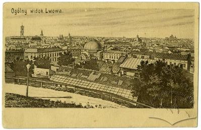 Загальний вид Львова з Високого замку