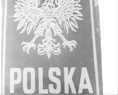 The Strengthening of Soviet-Polish Friendship