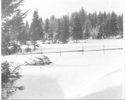 Skiing in the Carpathians