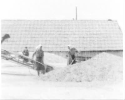 From Grain to Bread for the State