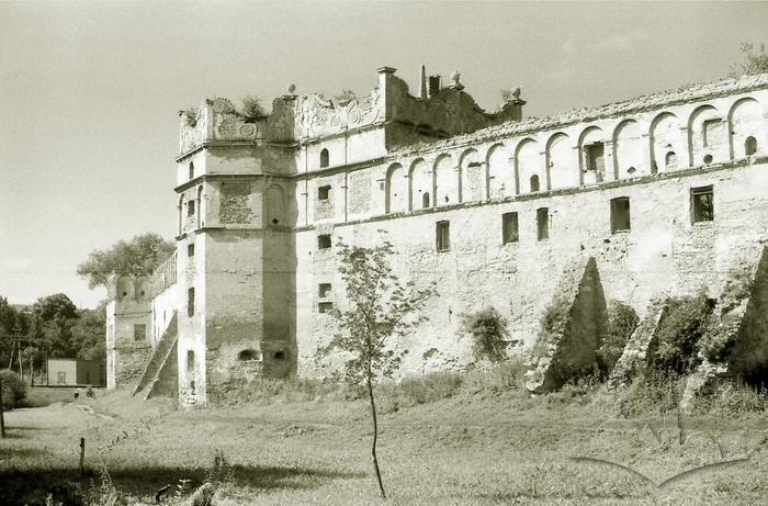 Ruins of Starosilskyi castle 2