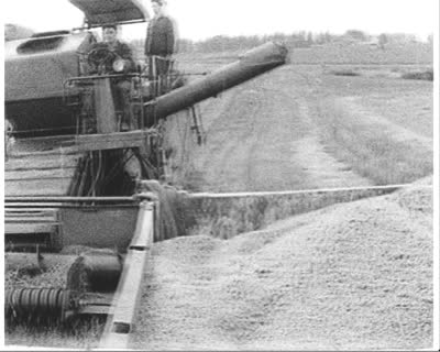 Above-Plan Bread Production