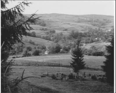 Oil Pipeline Construction in the Mountains