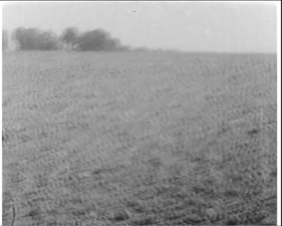 Planting Winter Crops