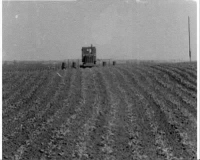 Fertilizing Sugar Beets