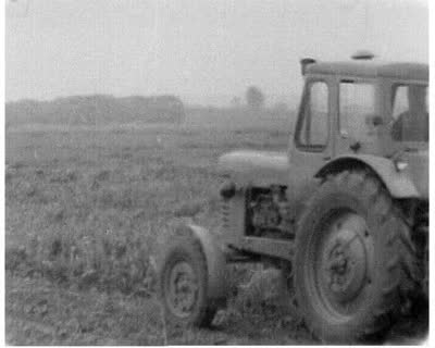 Harvesting Sugar Beets