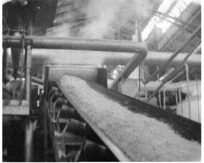 Production of Sugar From the New Harvest