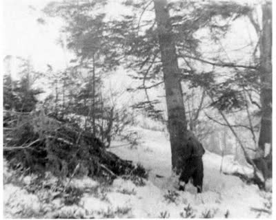 Visiting the Lumberjacks of Turka Raion