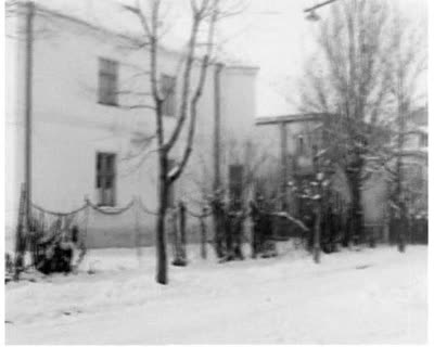 Іван Труш - його самотні горді сосни, кінонарис