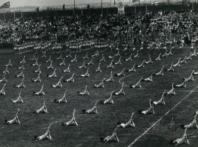 Масовий виступ гімнасток на спортивному святі на стадіону СКА
