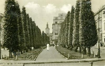 Poplar alley on Shevchenka avenue