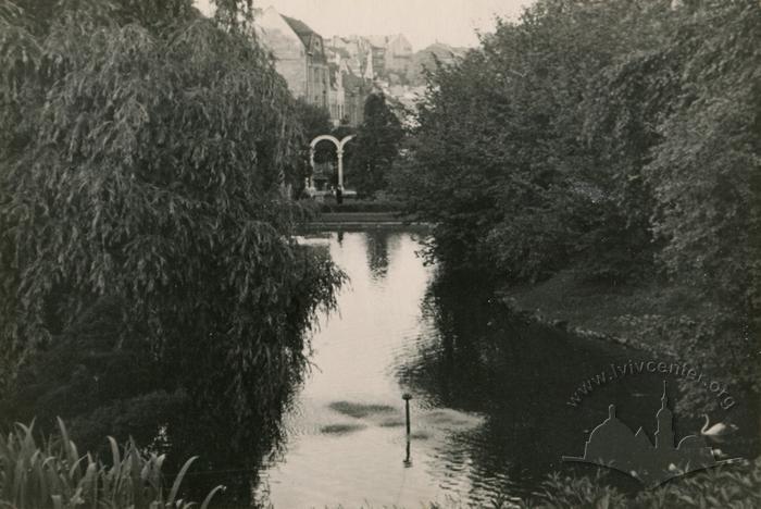 Pond in Stryiskyi park 2