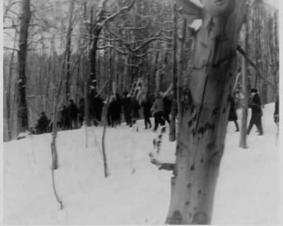 Cross-Country Skiing