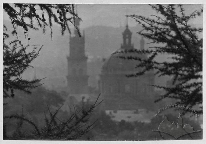 Kornyakt Tower and cupola of the Dominican Church 2