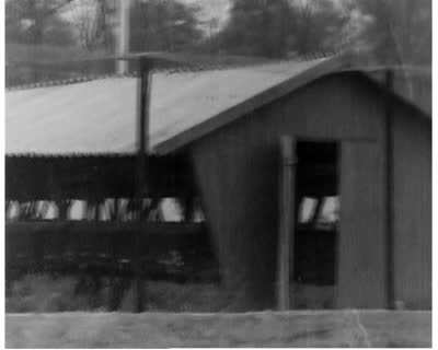 Stryi Fur Company