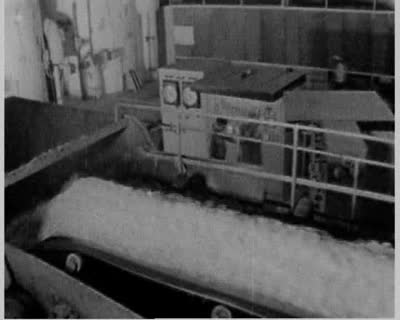 Sugar Production in Khodoriv