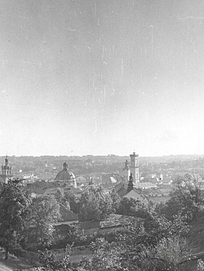 Панорама міста з Високого замку 2