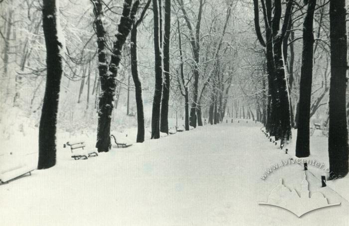 Alley in Vysokyi Zamok park in winter time 2