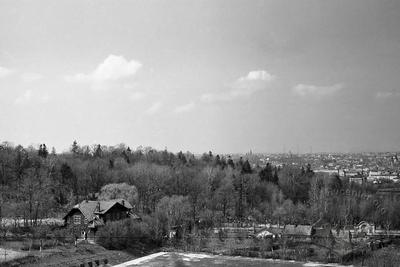 Вид з Холма Слави на Личаківський цвинтар та місто