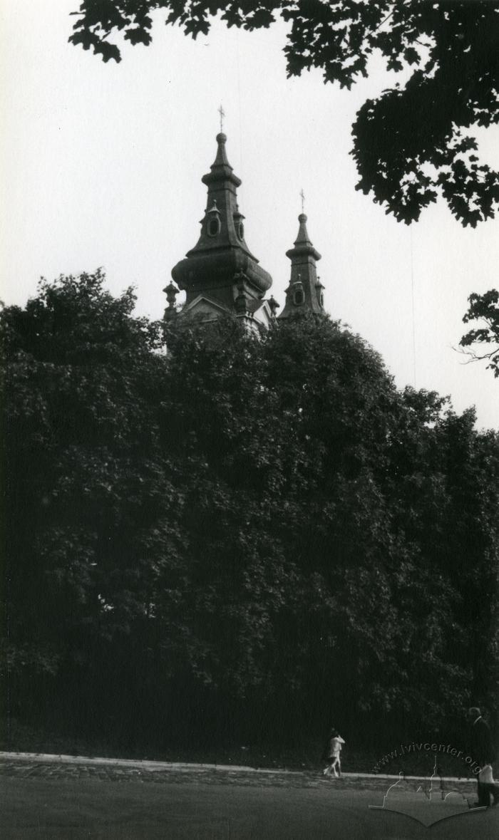 Domes of the Church of St. Michael 2