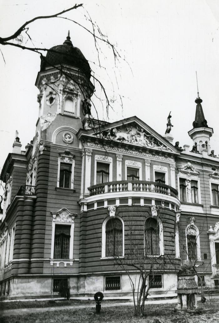 Будинок Національного музею у Львові(колишня вілла Дуніковського) на вул. Драгоманова, 42 2