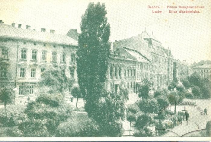 Perspective of the Northern Side of Shevchenka Boulevard 2