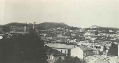 Panorama of Lviv from Citadel