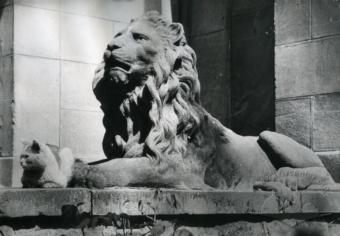 Sculpture of the lion at 50 Chuprynky St.  2