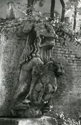 Fountain with lions at Kopernika St. 