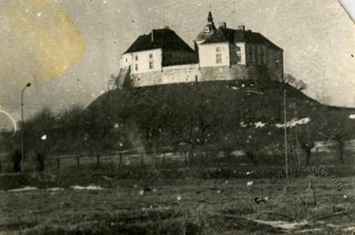 Oleskyi castle