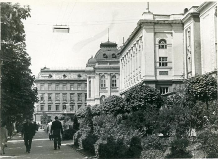 Svoboda Avenue in Lviv 2