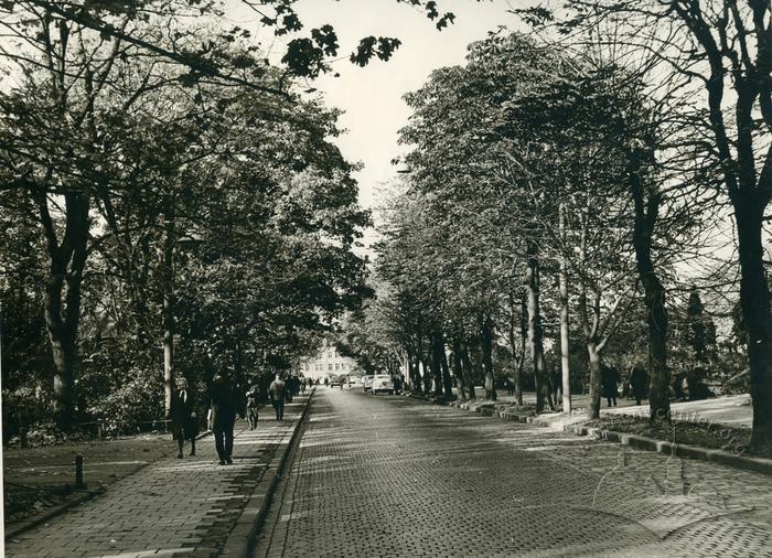 Lenin Avenue 2