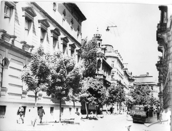 Bohdana Lepkoho Street 2