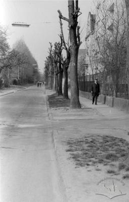 Вулиця Гіпсова