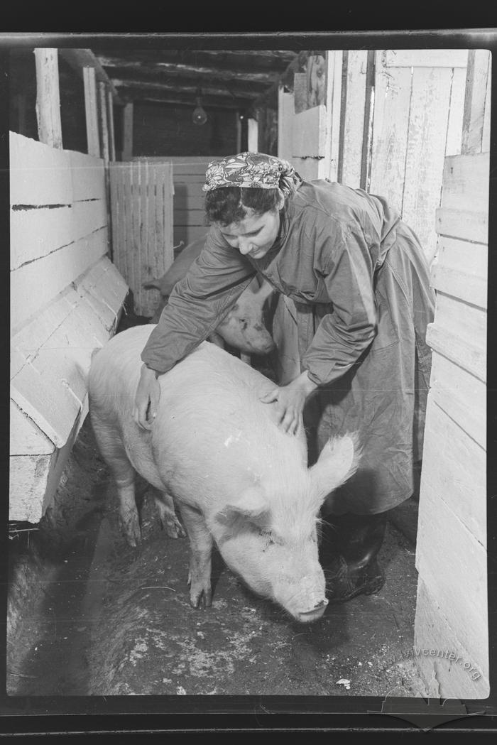 Department for procurement of supplies for the workers, Azovstal. Pig-tender, M. Yakov 2