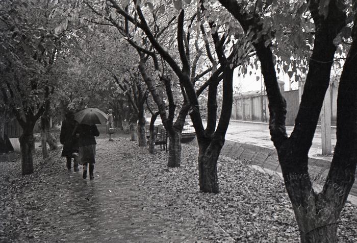 Fall 1960. 2