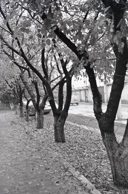 Fall 1960.