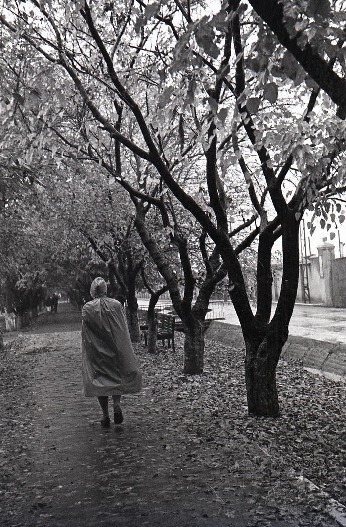 Fall 1960. 2