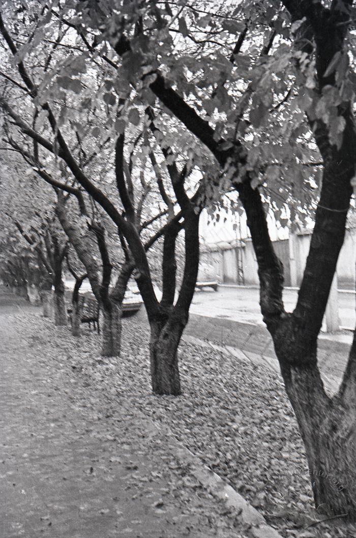 Fall 1960. 2