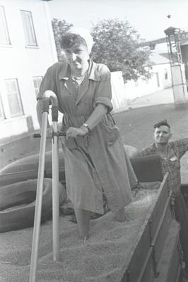 Zhdanov grain elevator. N. Byliaieva and laboratory assistant L. Romaniuk take samples