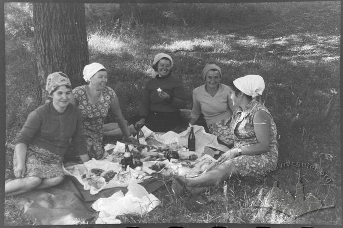 Жінки на пікніку 2